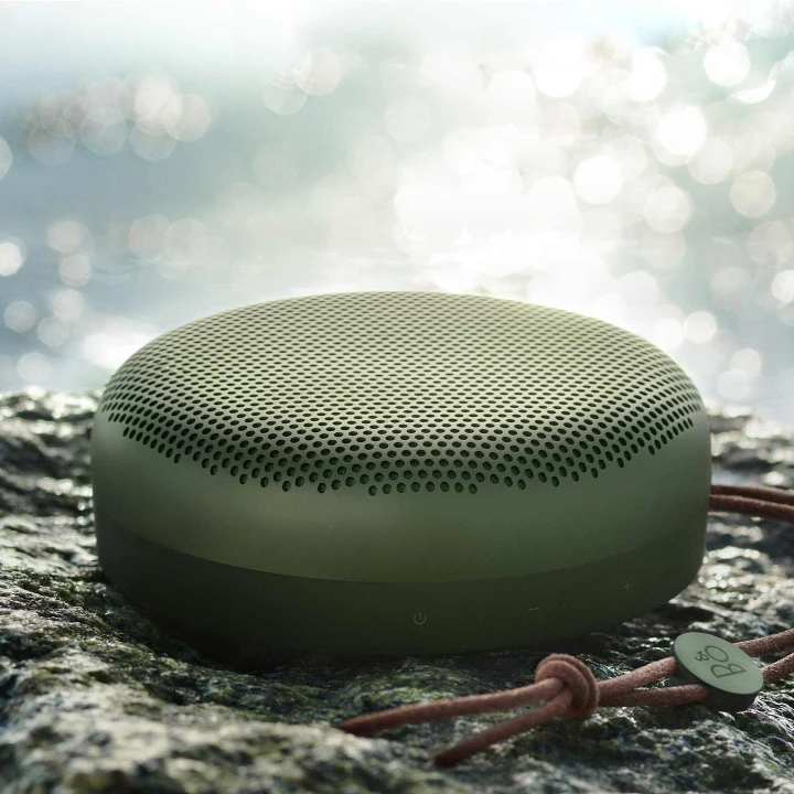 Beoplay A1 Moss Green 5