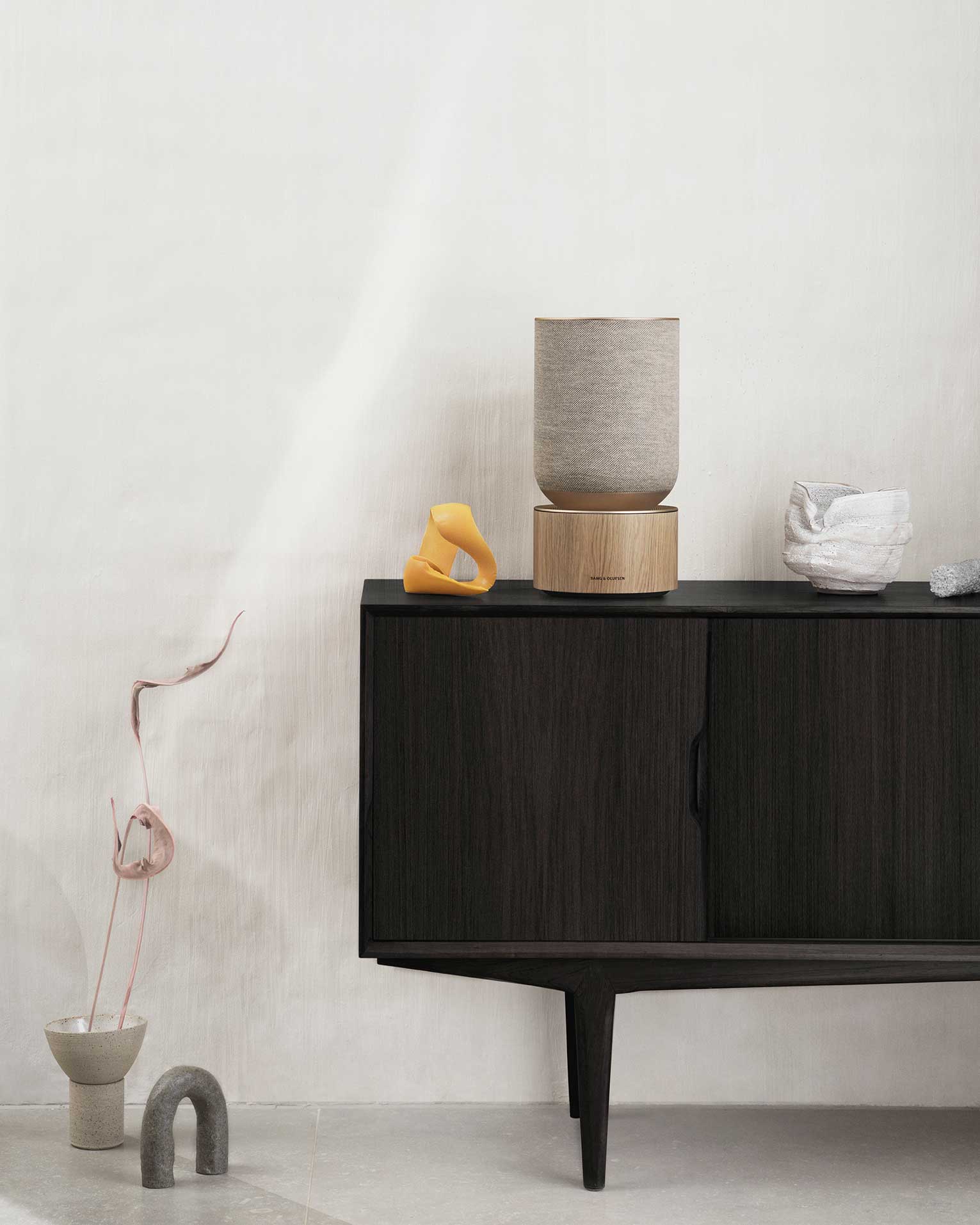 bang olufsen home speaker