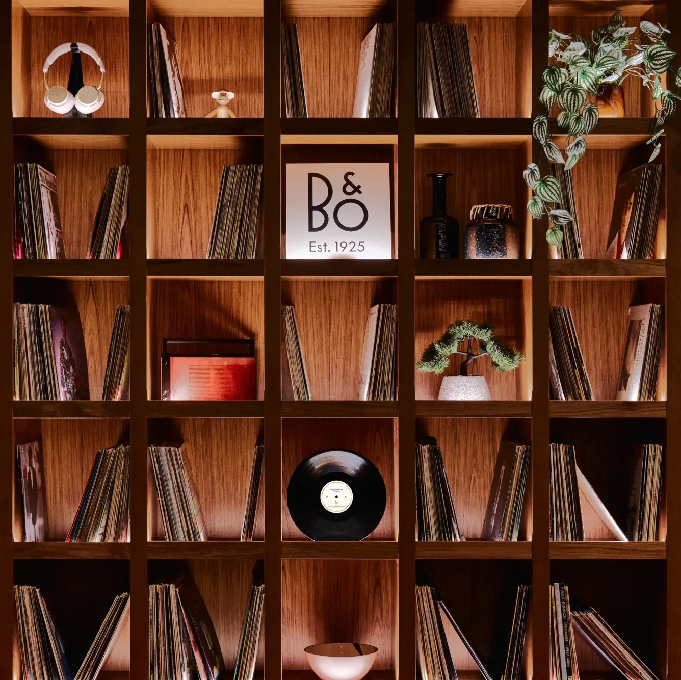 Image of shelf inside vinyl room