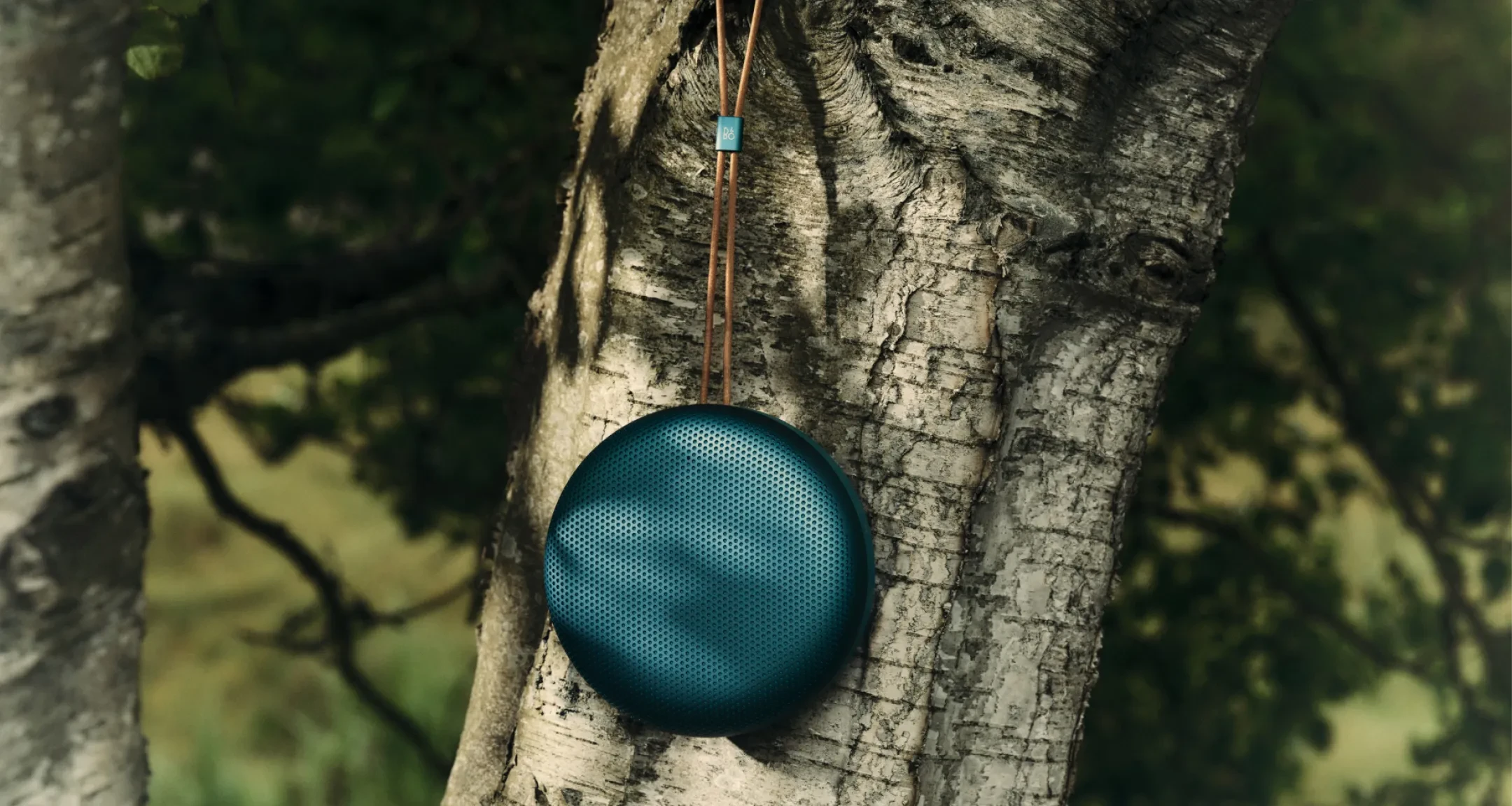 A Beosound A1, hanging on a tree