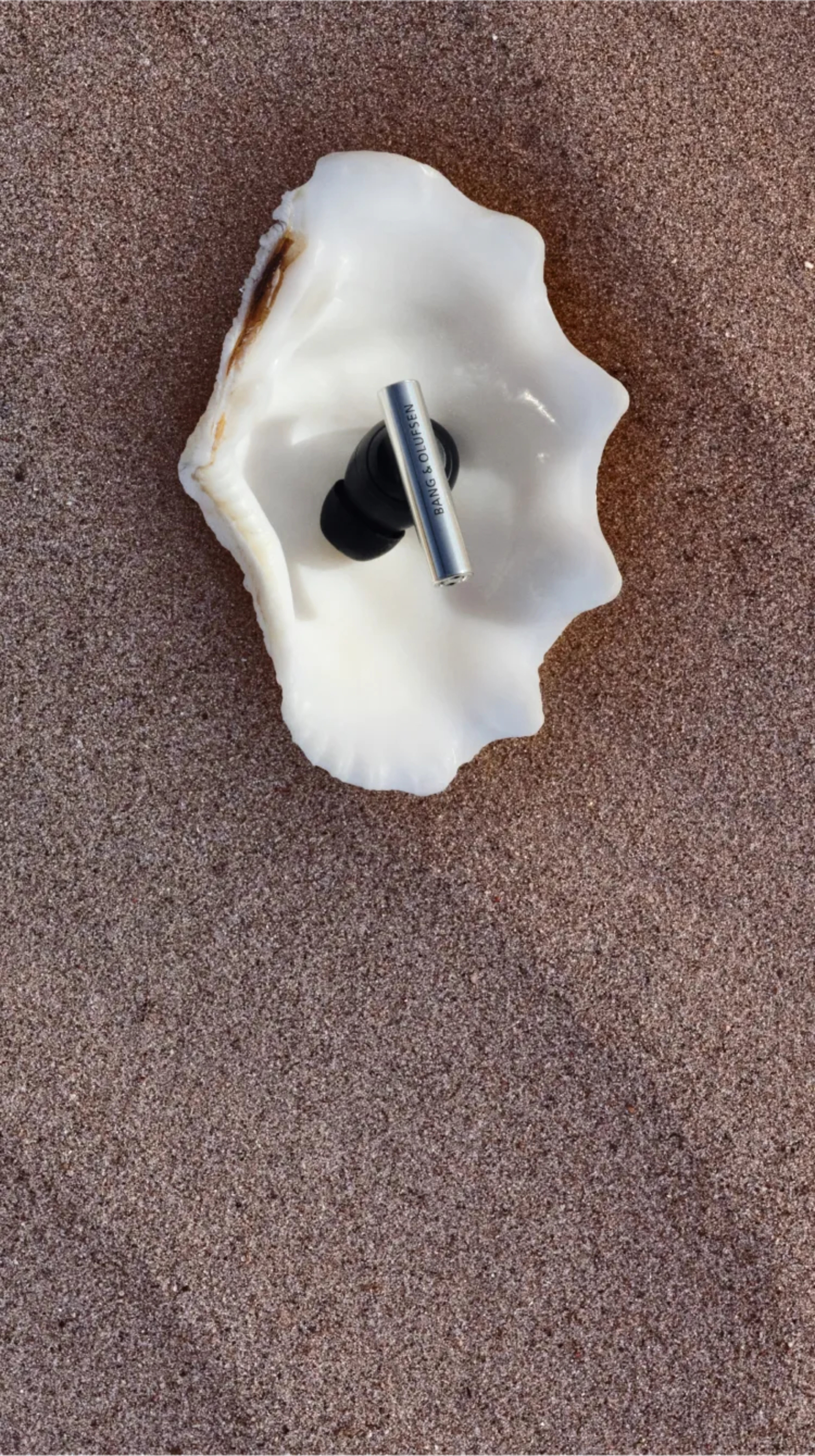 一副 Beo Grace 入耳式耳機擺放於貝殼上