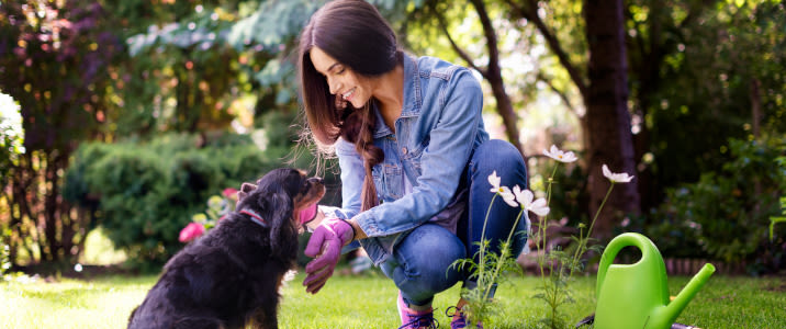 outdoor_allergy_symptoms_triggers-en-au