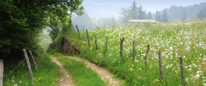 seasonal_allergies-en-au