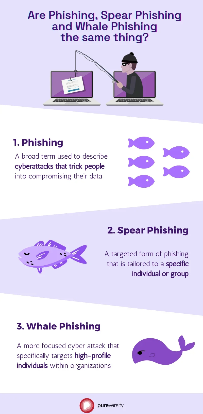 An infographic on the differences between phishing, spear phishing, and whale phishing attacks