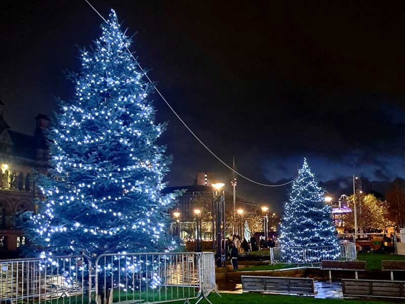 bradford-large-christmas-tree-display