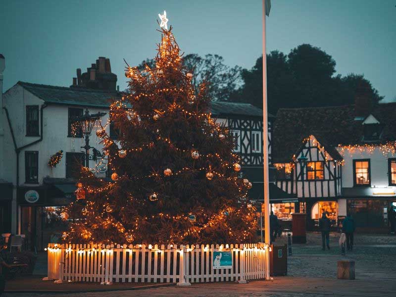 Christmas trees in Stevenage