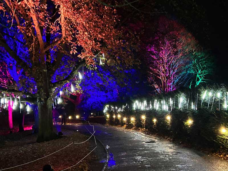 enlightened-event-at-colchester-castle