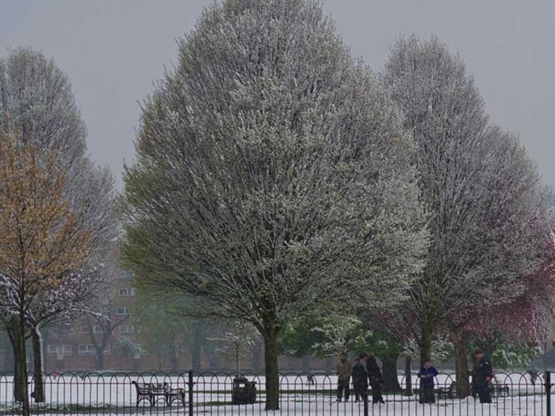 stoke-newington-park-winter