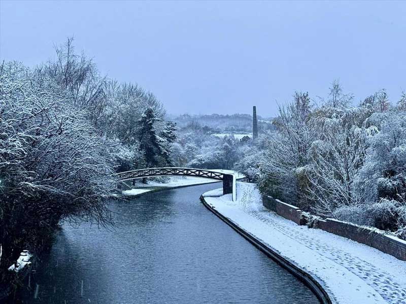 Christmas trees in Dudley