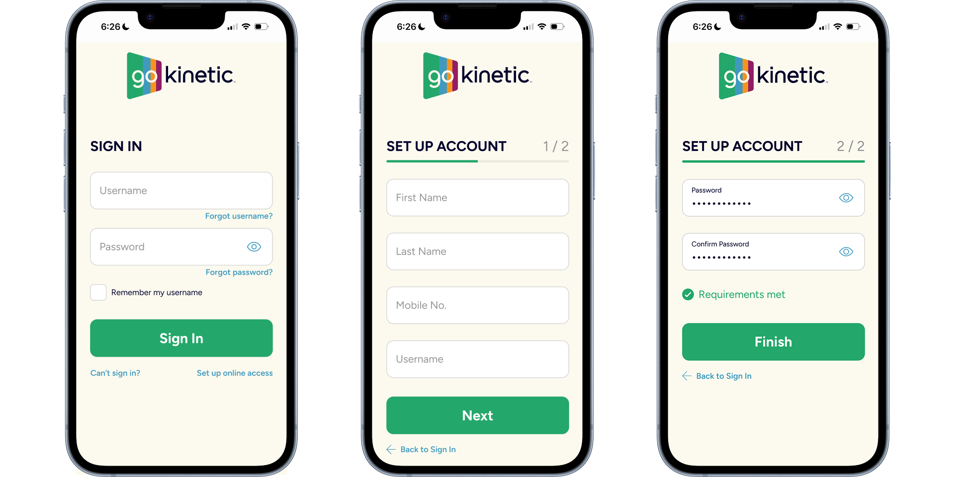 Go Kinetic Setup