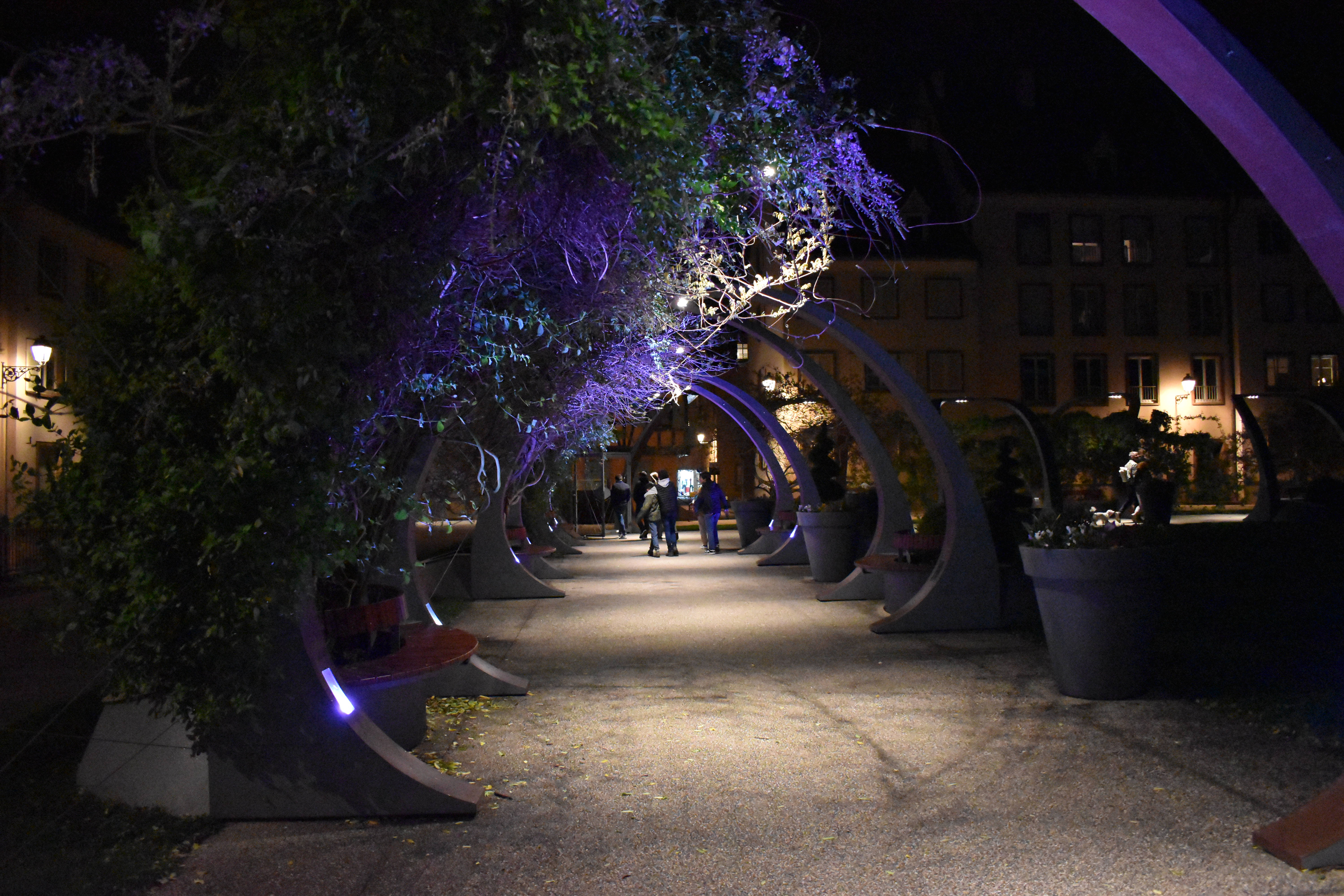 Colmar Night Lighten Up 16