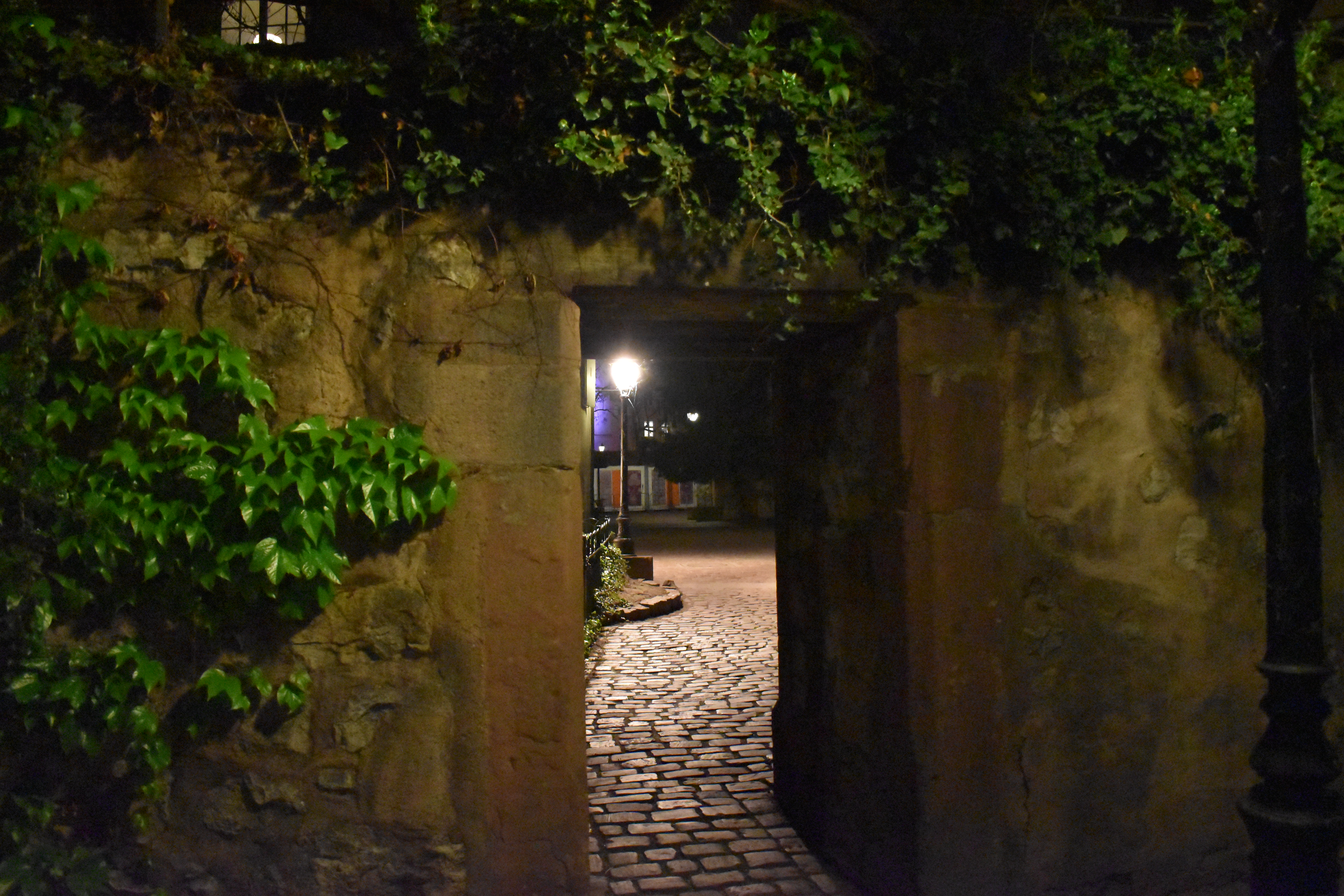 Colmar Night Lighten Up 19