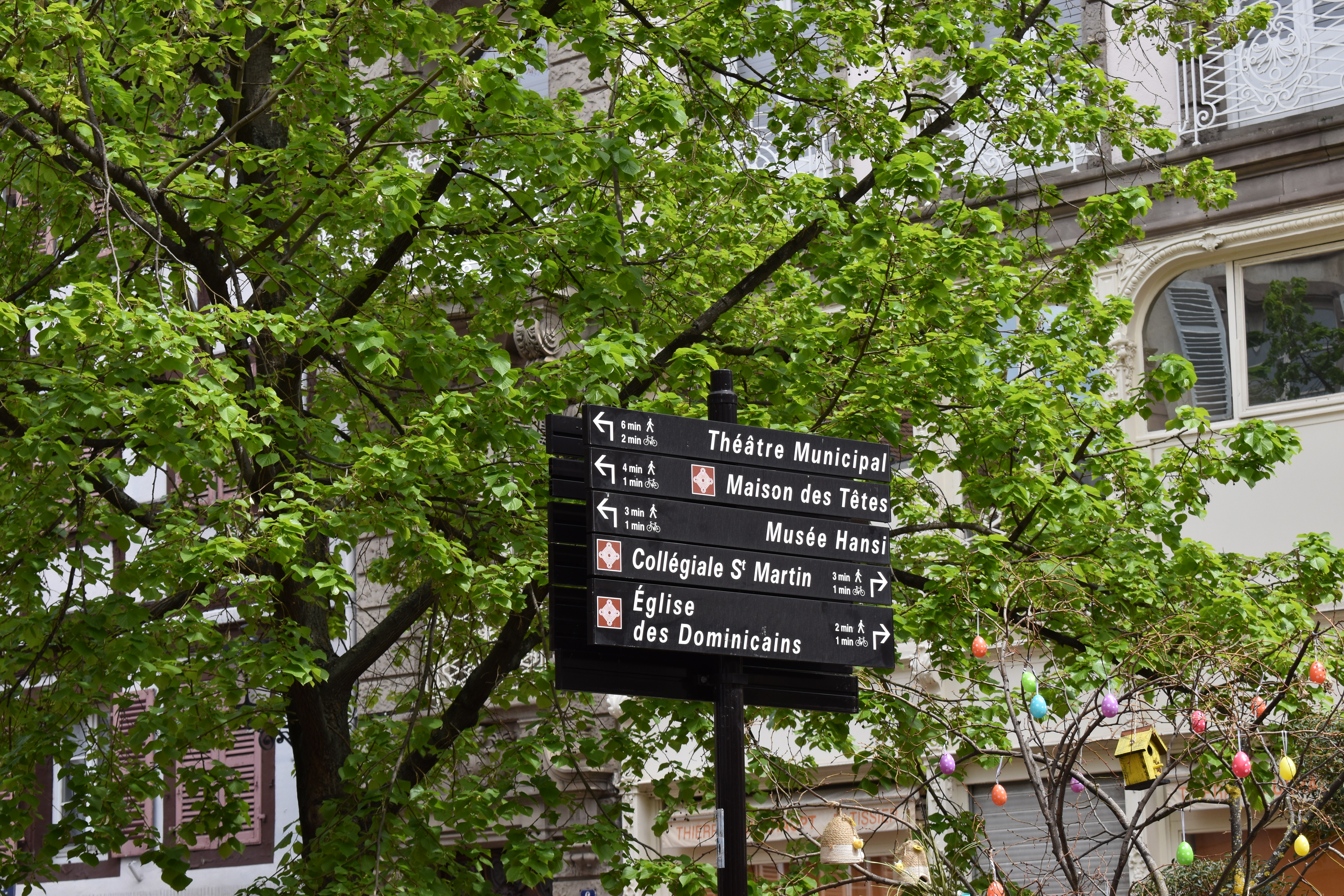 Colmar 2nd Day Pl de l'Ecole 4