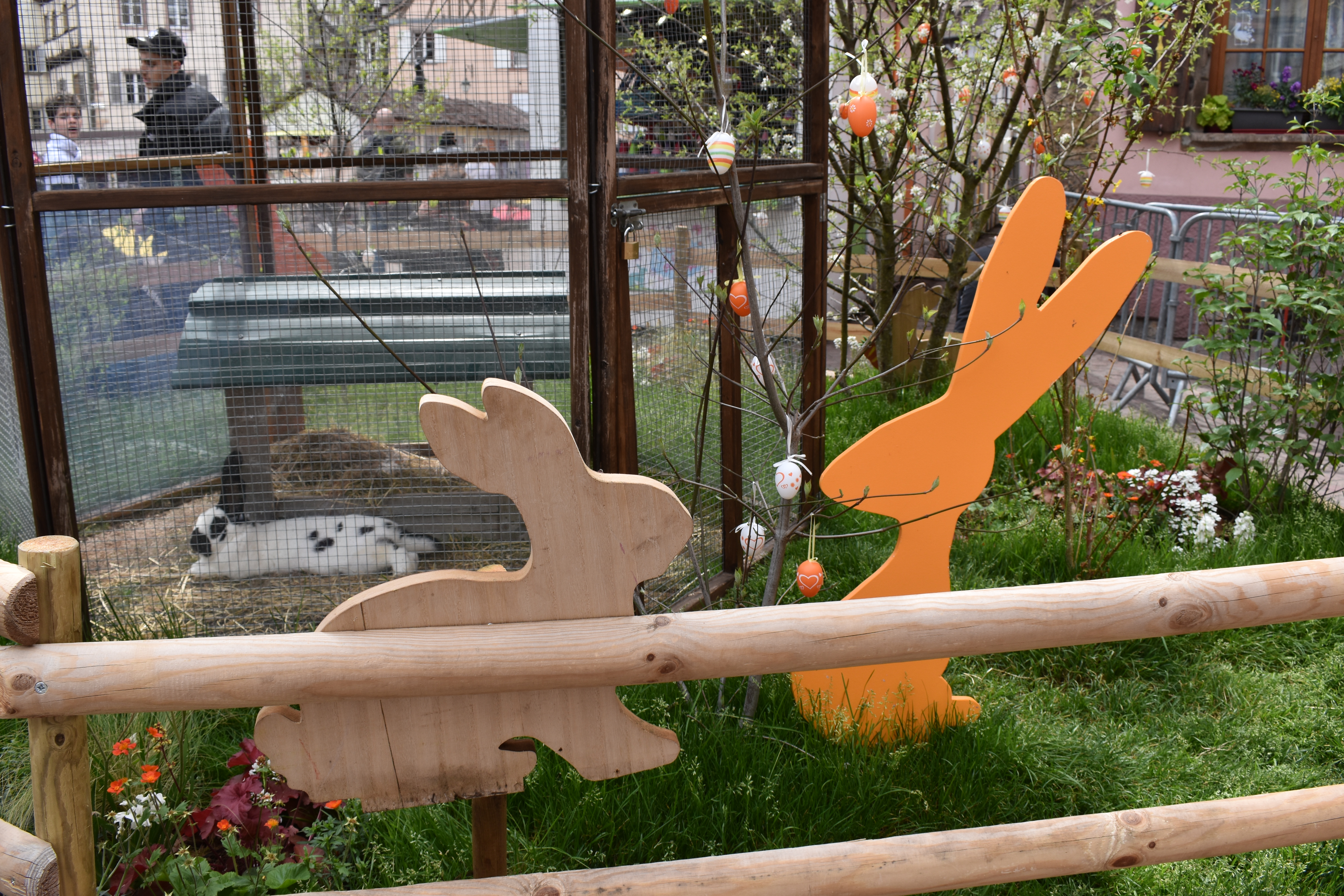 Colmar 2nd Day Grand Rue 4