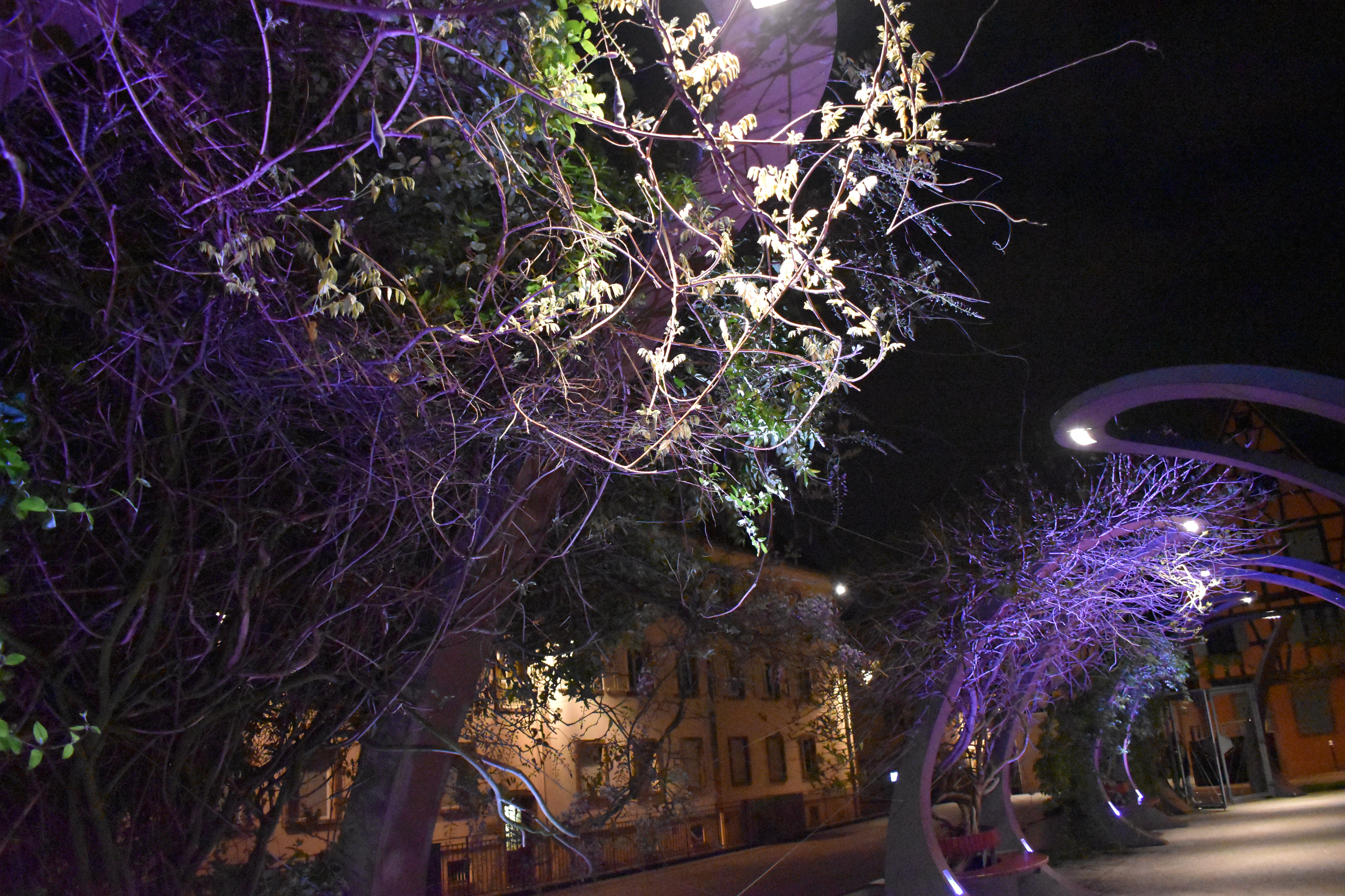 Colmar Night Lighten Up 18