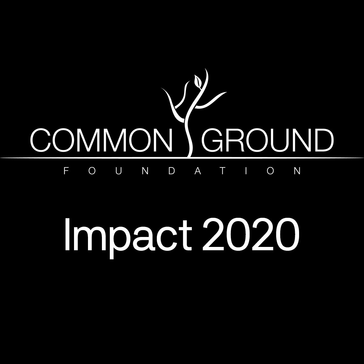 Common Ground Foundation THE IMPACT OF GIVING Powered by Capsule