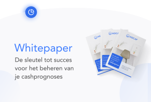 Whitepaper: de sleutels tot succes bij het beheren van je cashprognoses