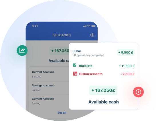 Access your cash flow balance