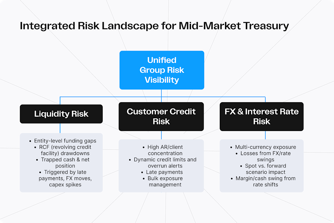 Infographic showing the different types of risks to manage at group level.