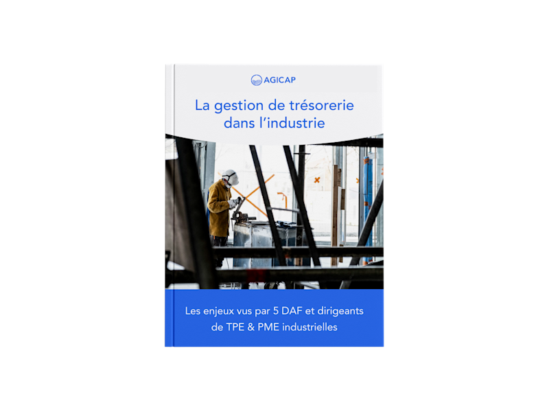 Couverture du livre blanc "La gestion de trésorerie dans l'industrie"