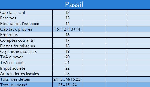 Exemple Bilan Previsionnel Simple 2249