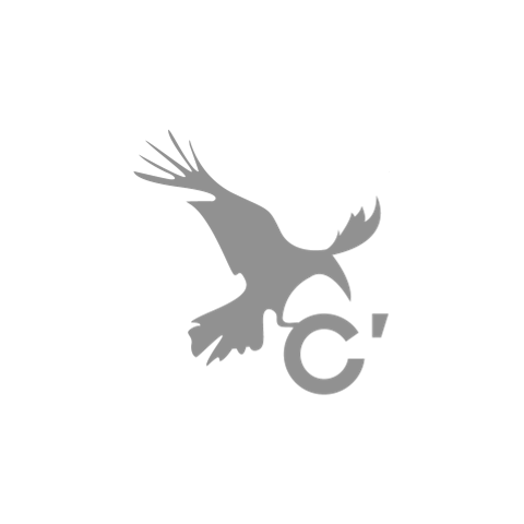Logo - C'Consult - square