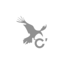 Logo - C'Consult - square