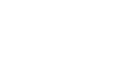 logo - vivason - white mini