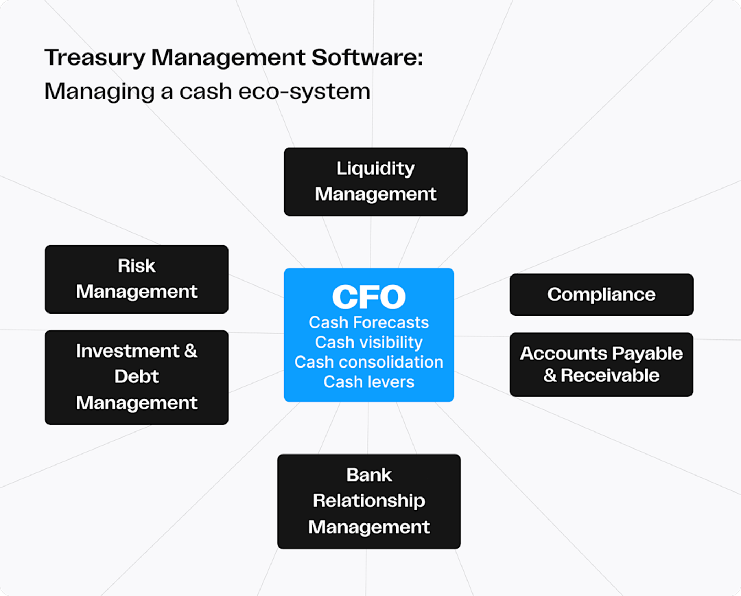 Infographic of a Treasury Management Software showing how to manage a cash eco-system