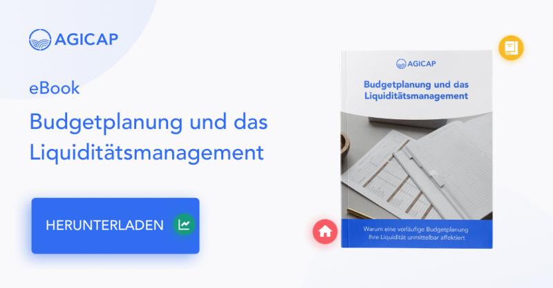 eBook Budgetplanung