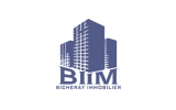 Logo Biim - blue