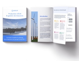 Couverture du livre blanc gestion de trésorerie et énergies renouvelables