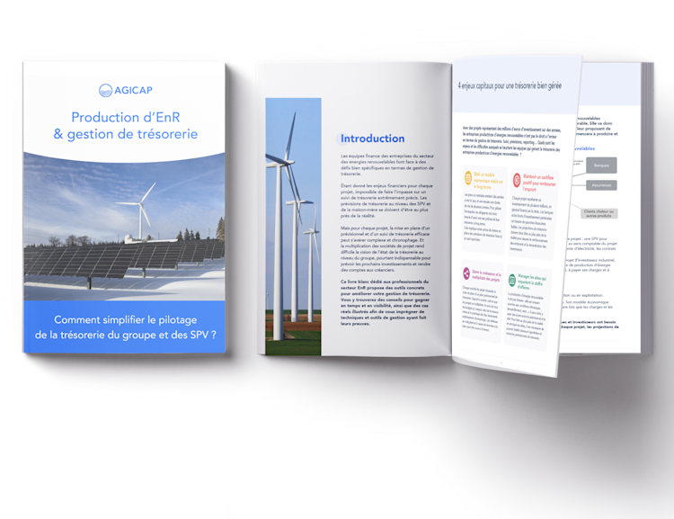 Couverture du livre blanc gestion de trésorerie et énergies renouvelables