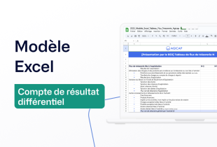 Modèle Excel - Compte de résultat différentiel