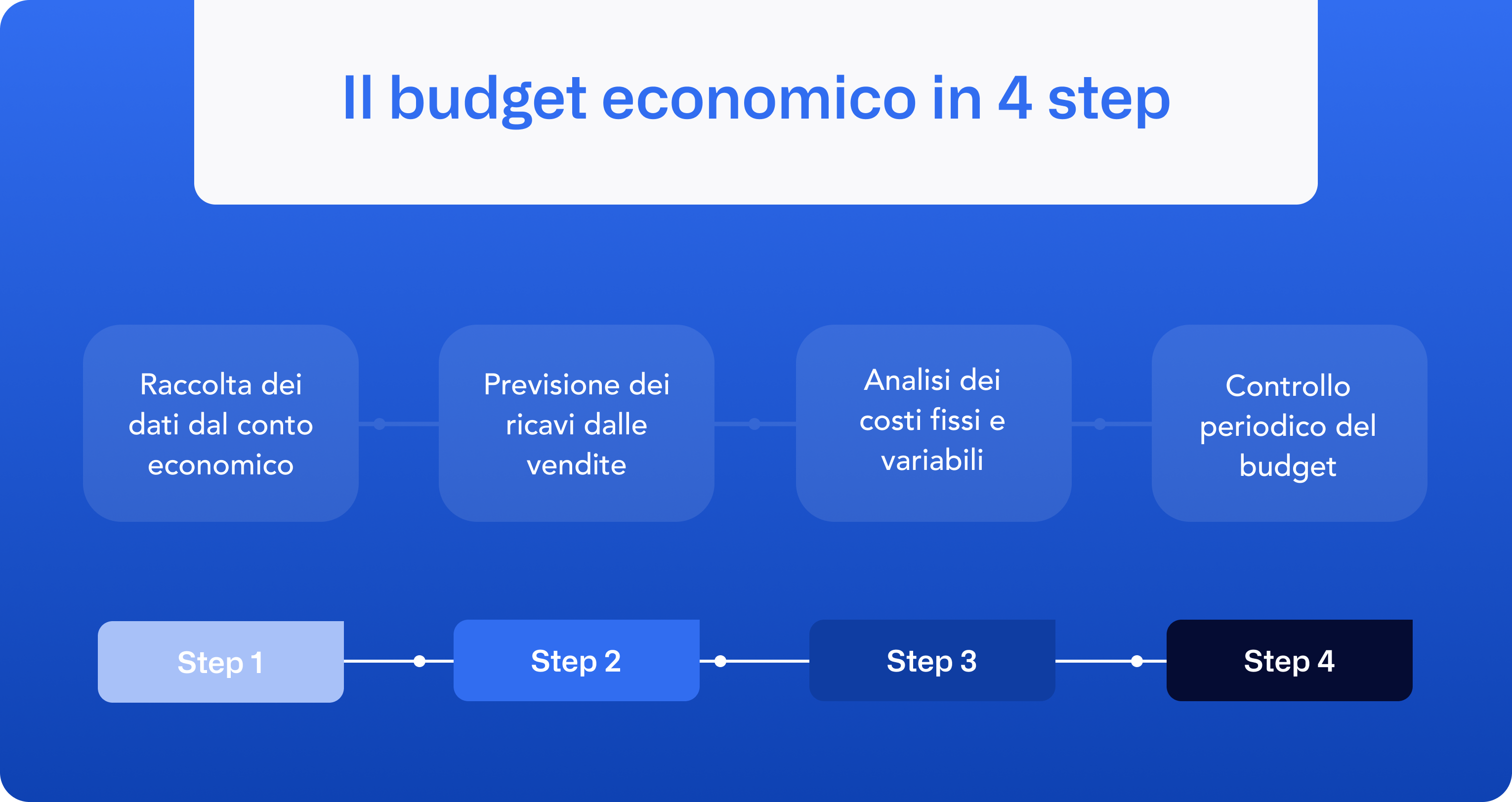 IT - Economic budget infographics