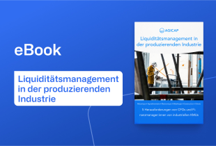 In unserem neusten eBook für produzierende Industriegewerbe zeigen wir Ihnen, wie Sie die fünf prägnantesten Herausforderungen des Liquiditätsmanagements erfolgreich meistern.