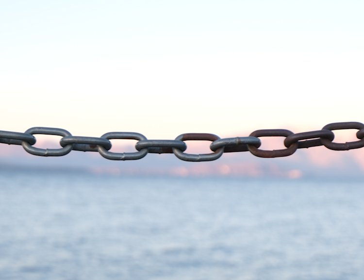 Cashflow-Management im Franchise-Gewerbe