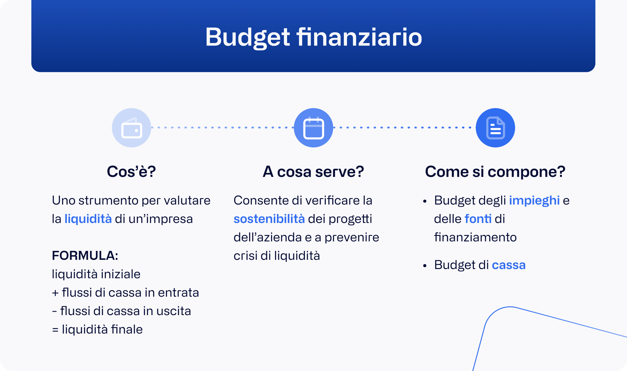 IT - financial budget infographics