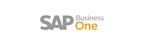 Grid Integrations - ERP - SAP B1