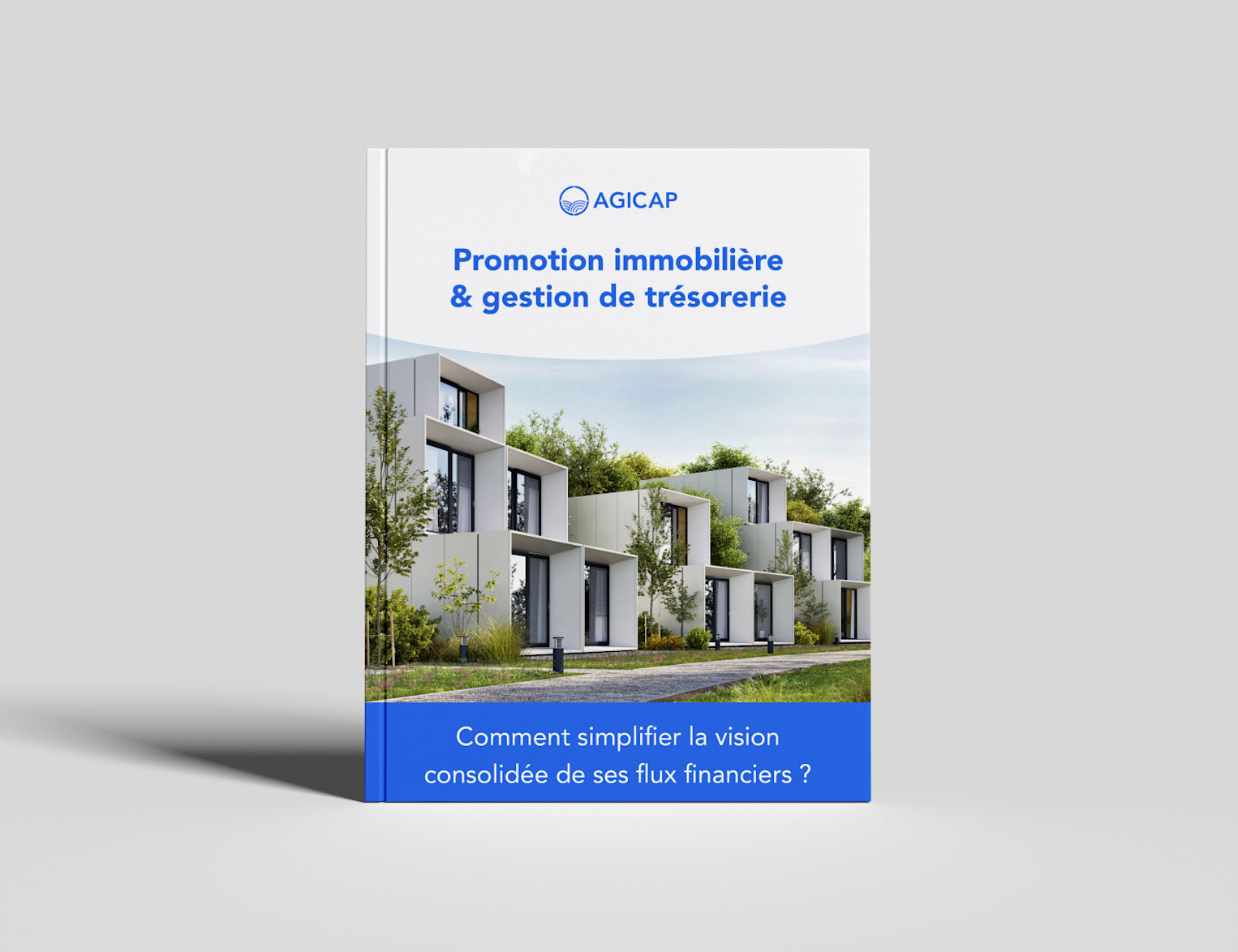 Livre blanc gestion de trésorerie et promotion immobilière
