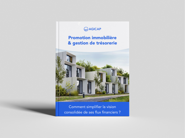 Livre blanc gestion de trésorerie et promotion immobilière