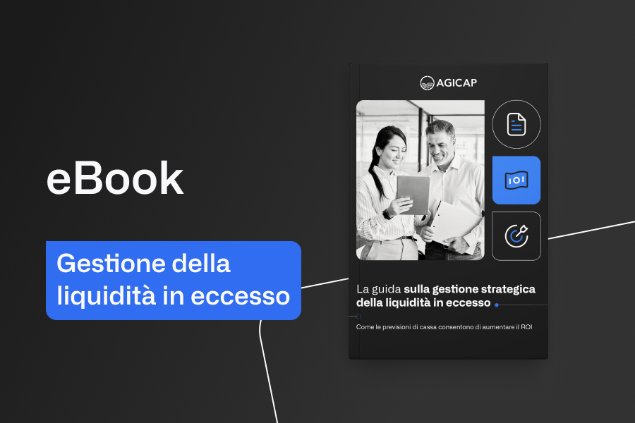 eBook - Excess Cash