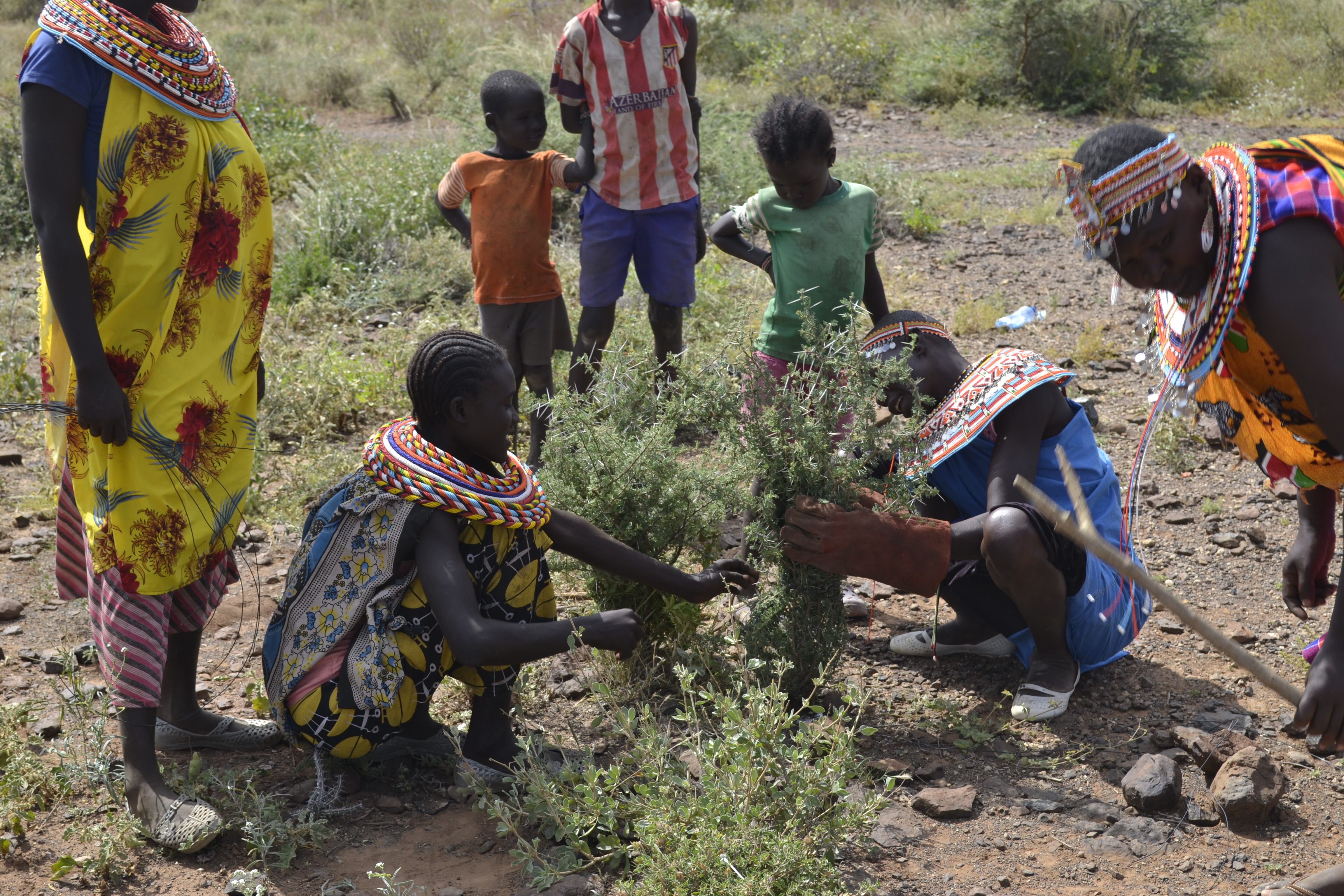 TerraFund for AFR100 Kenya