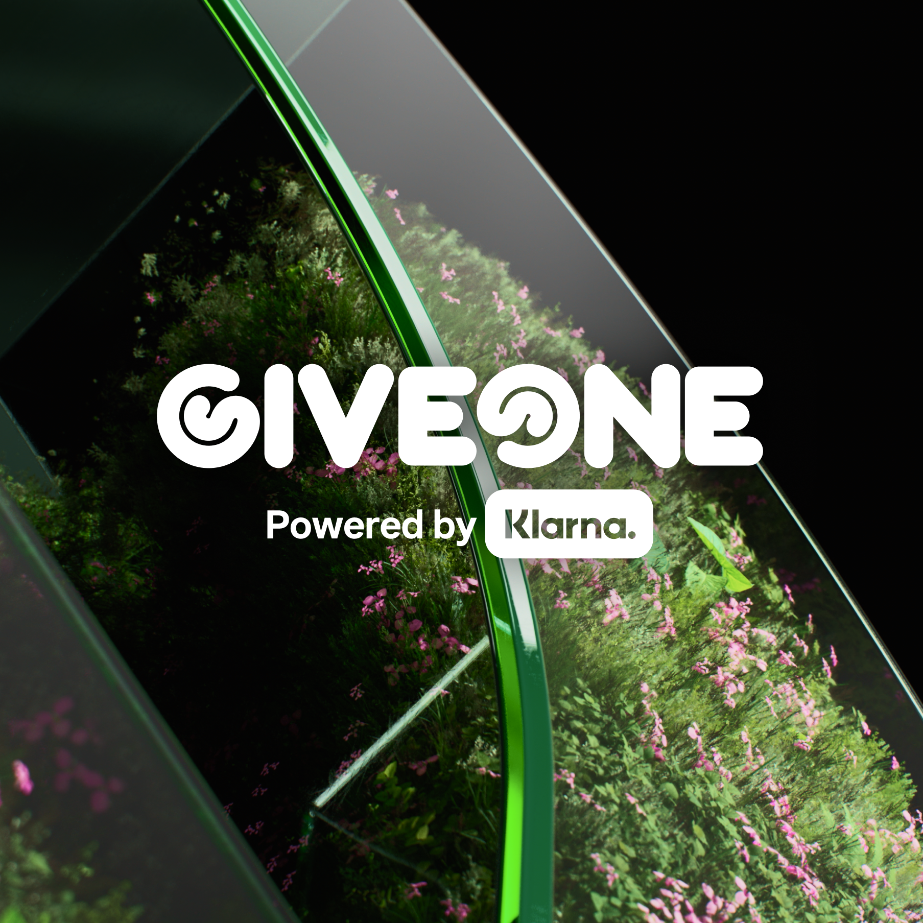 GiveOne MW4