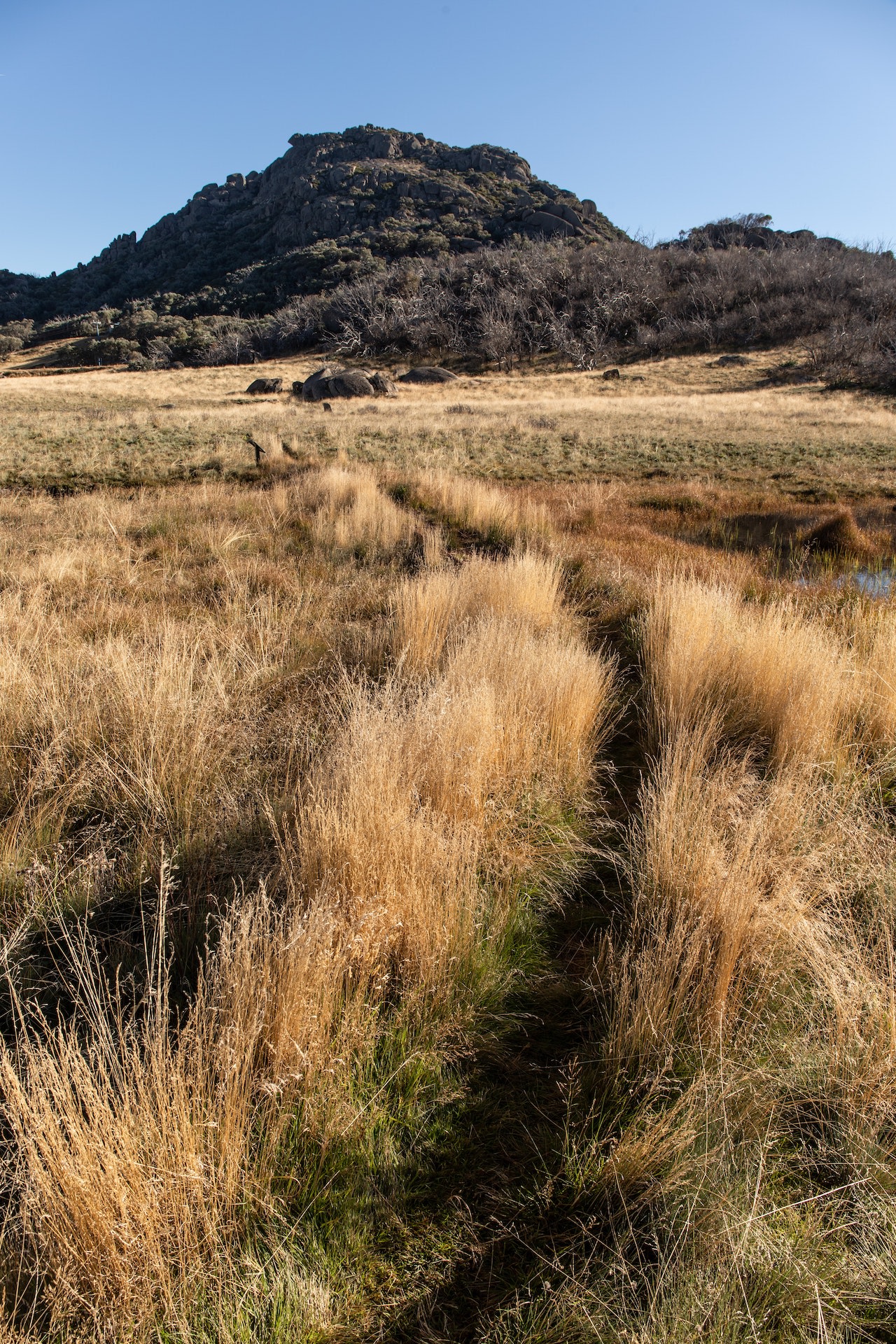 Rugged mountain landscape with golden grass field in foreground, narrow trail leading towards distant vehicles and rocky peak