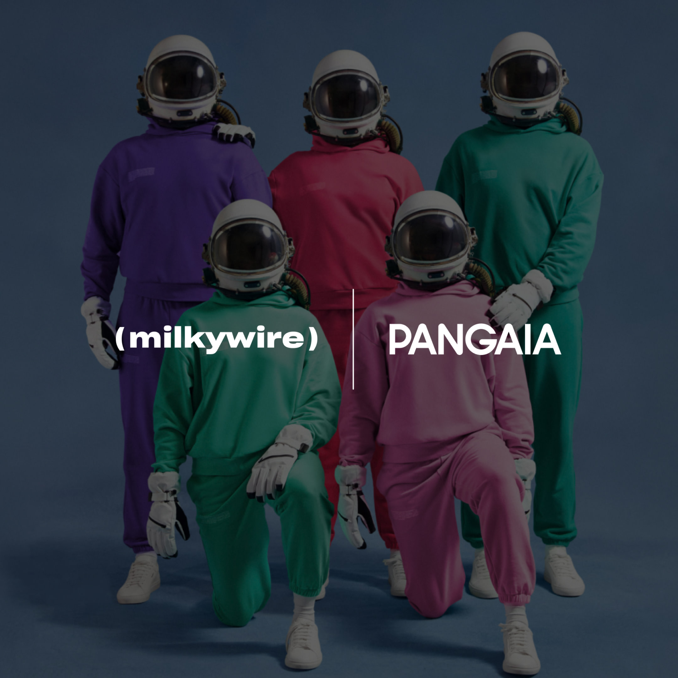Partnerships/Collaborations - Highlight Pangaia Image 