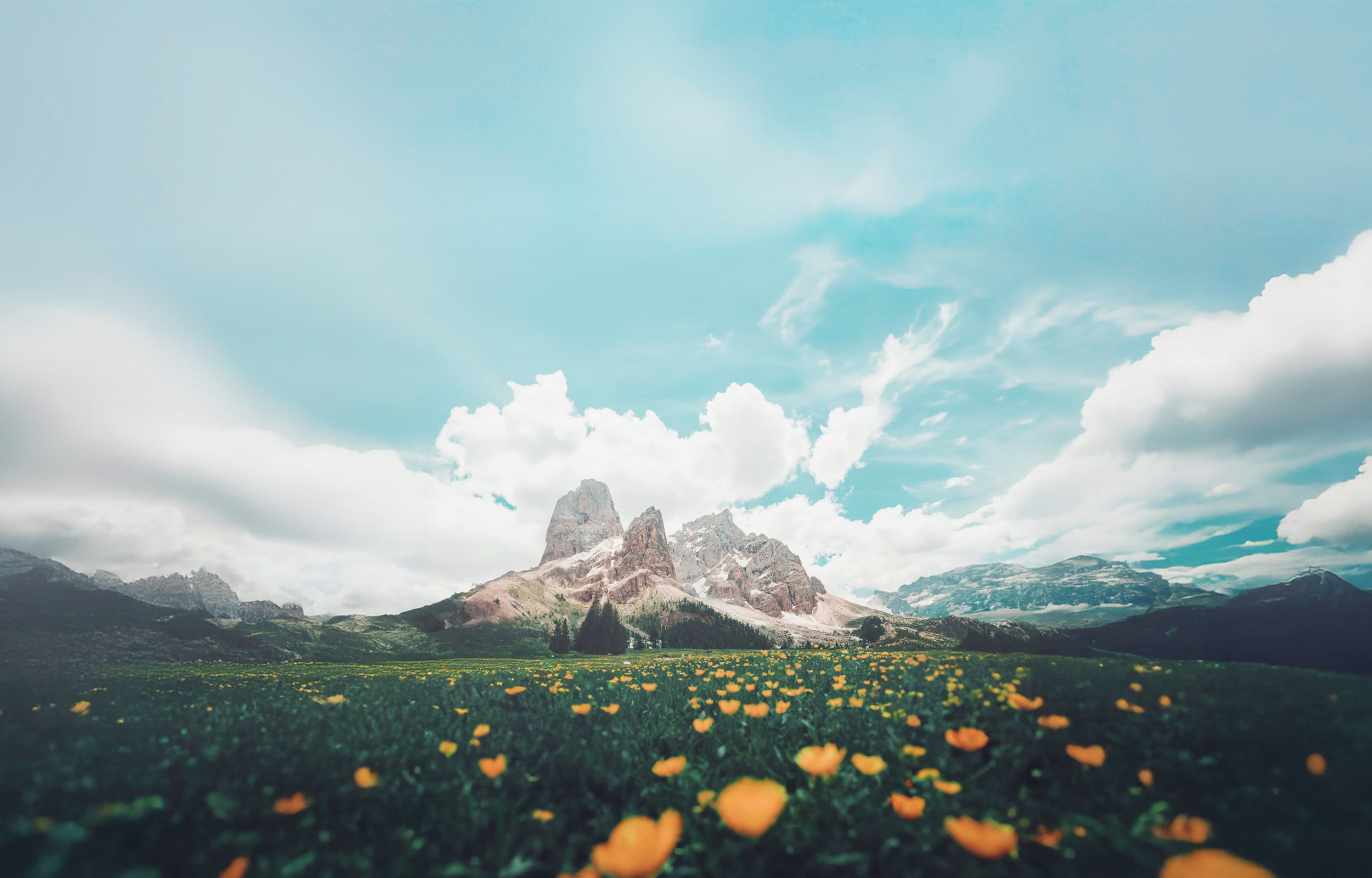 Climate Collective Background