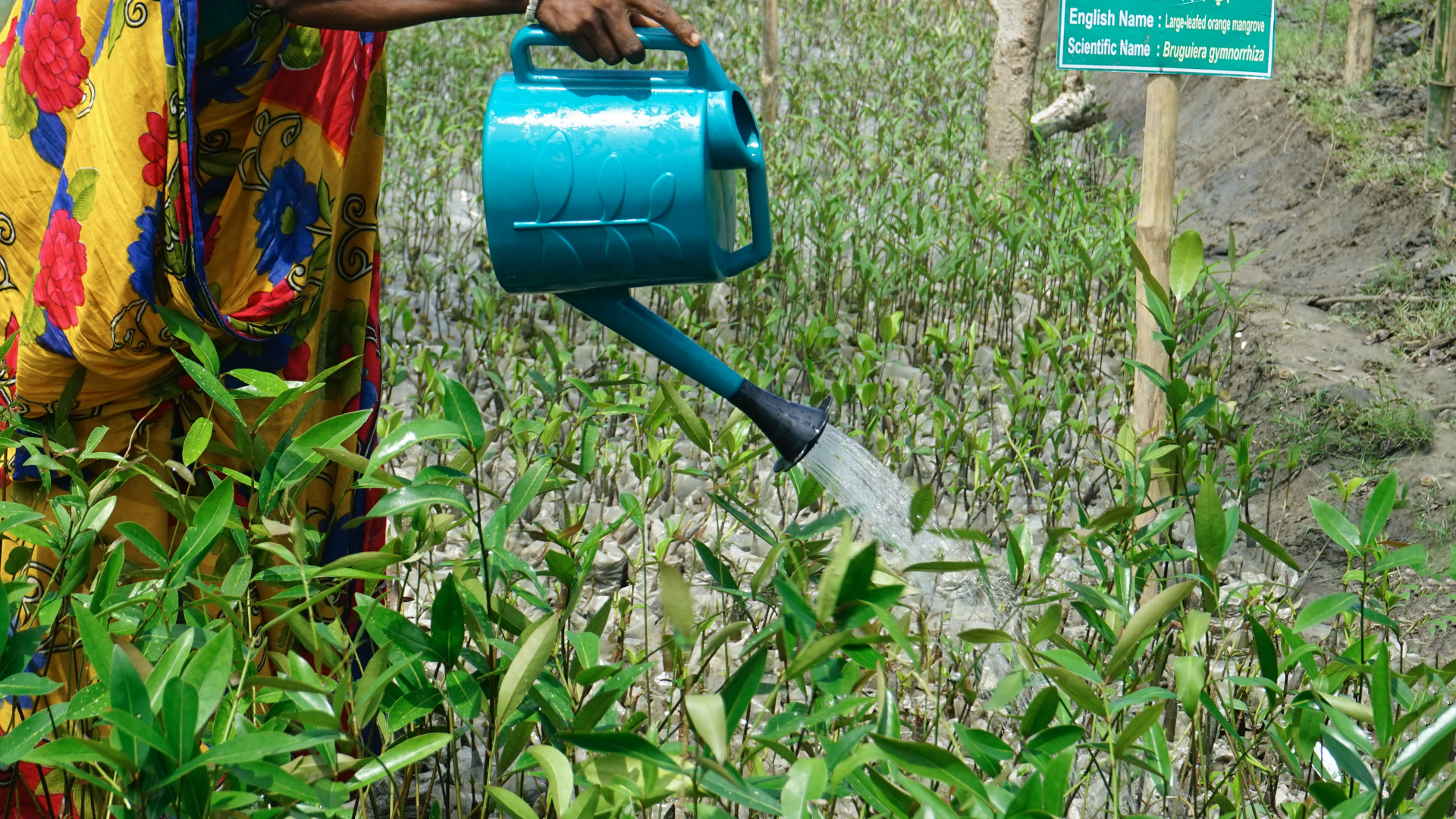 BEDS - Bangladesh Environment and Development Society