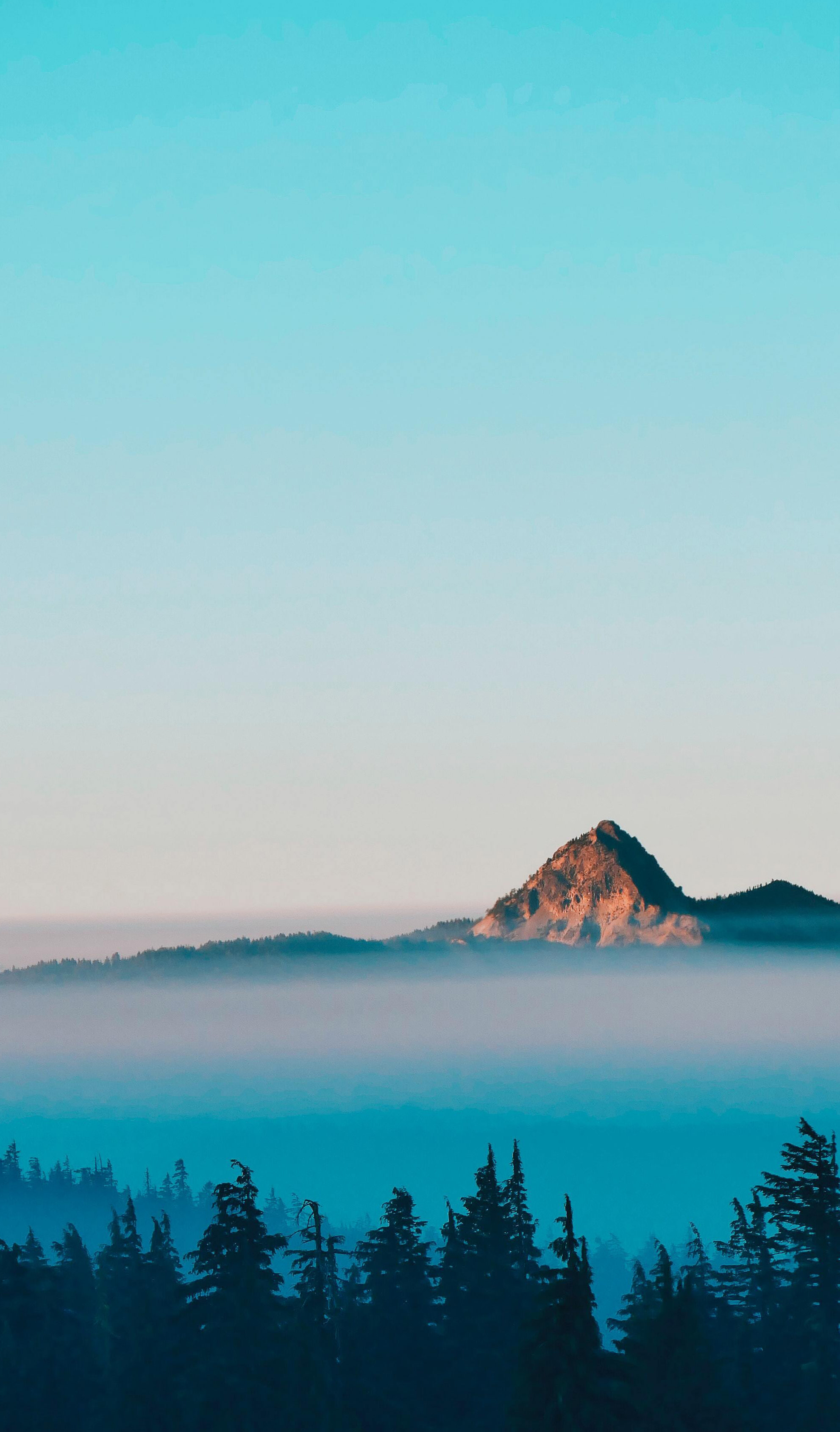 partnership mountain