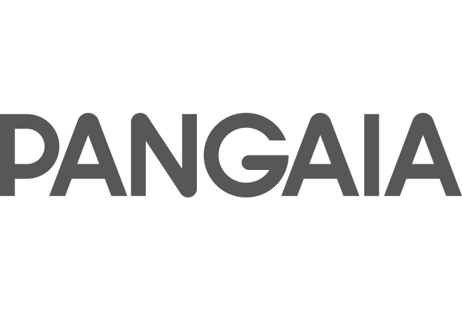 PANGAIA grey